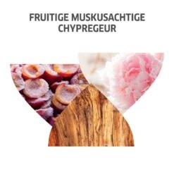 Wella Invigo Nutri Enrich Luscious Mousse Masker 150ml -L'Oreal Verkoop 4064666315867 2