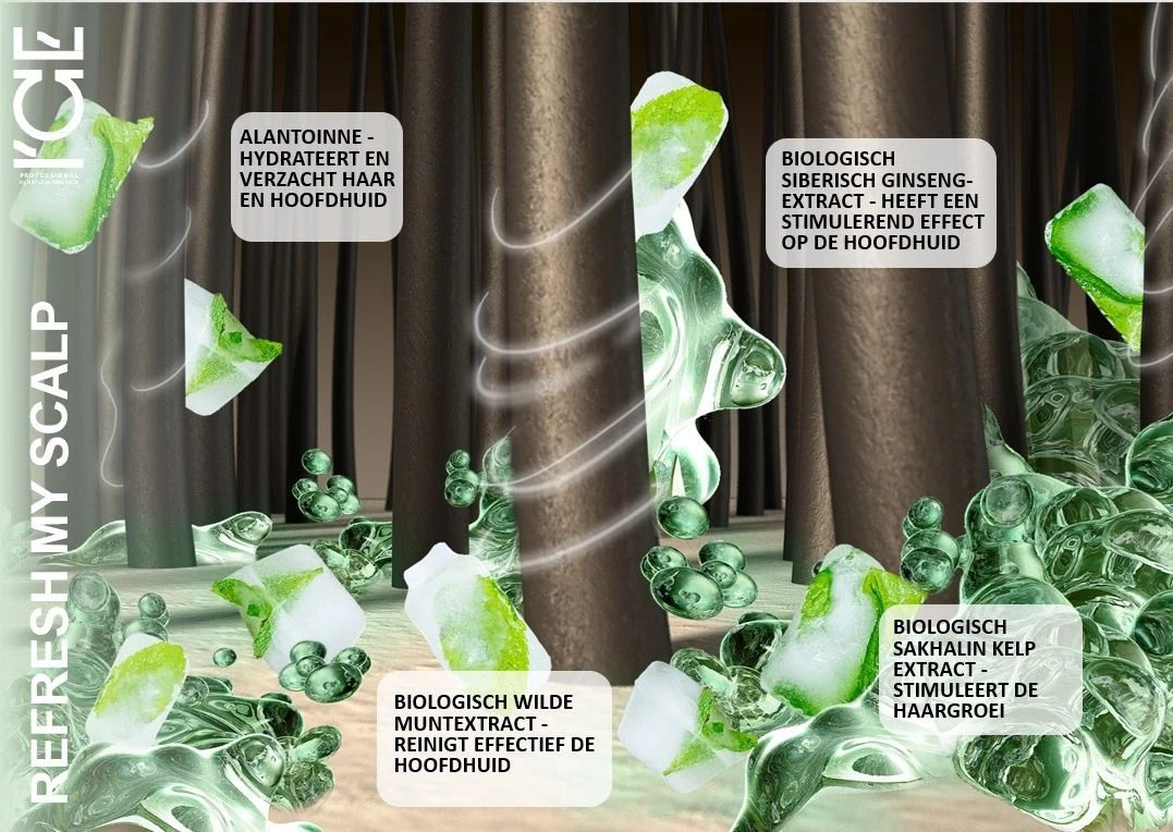 ICE Professional Refresh My Scalp Conditioner 250ml ICE Professional Refresh My Scalp Conditioner 250ml -L'Oreal Verkoop ice professional refresh my scalp2 2