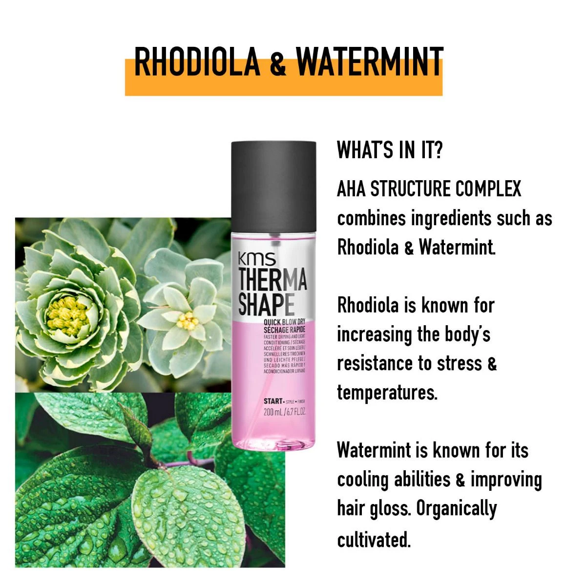 KMS ThermaShape Quick Blow Dry 200ml -L'Oreal Verkoop kms ts images quick blow dry spray 200ml 132020khla image 3 pt02