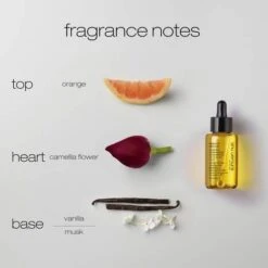 Shu Uemura Essence Absolue Nourishing Soothing Scalp Oil Concentrate 50ml -L'Oreal Verkoop shu uemura art of hair essence absolue nourishing soothing scalp oil4